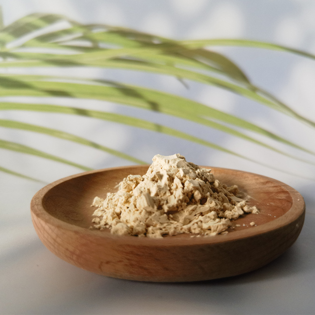 Lion's Mane Mushroom Powder,Lion's Mane Mushroom Extract,Lion's Mane Mushroom manufacturer
