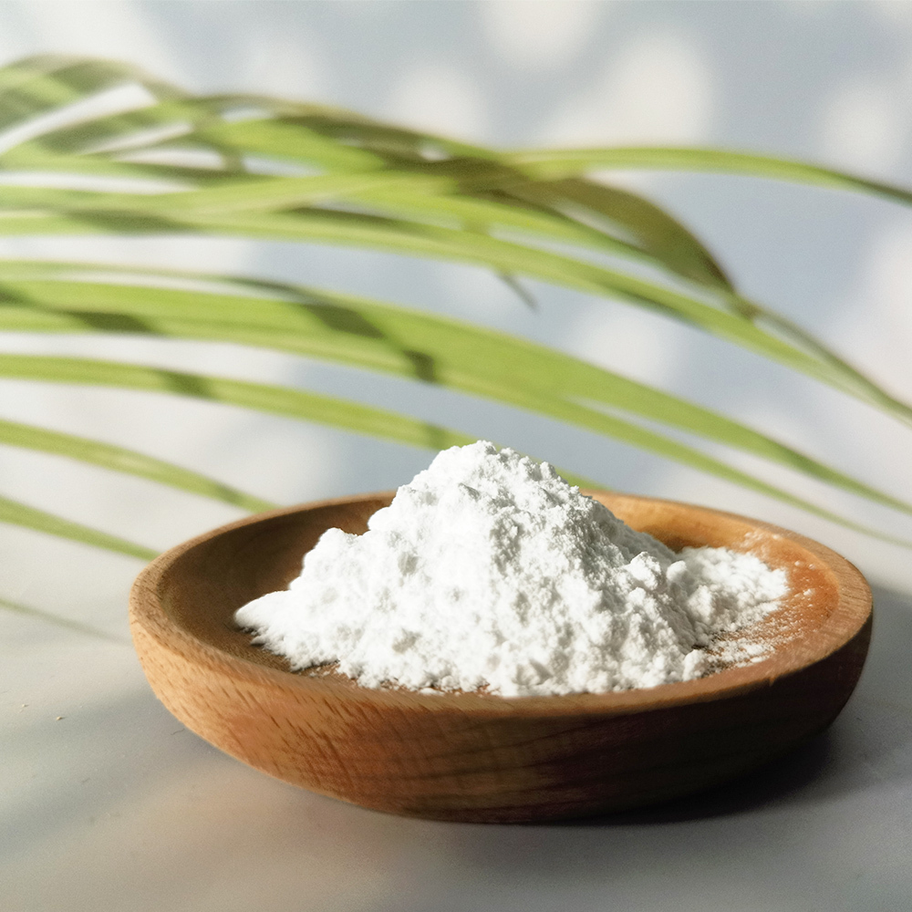 Nicotinamide Adenine Dinucleotide Phosphate,coenzyme II sodium salt; oxidized coenzyme II (NADP) suppliers and manufacturers,NADP powder