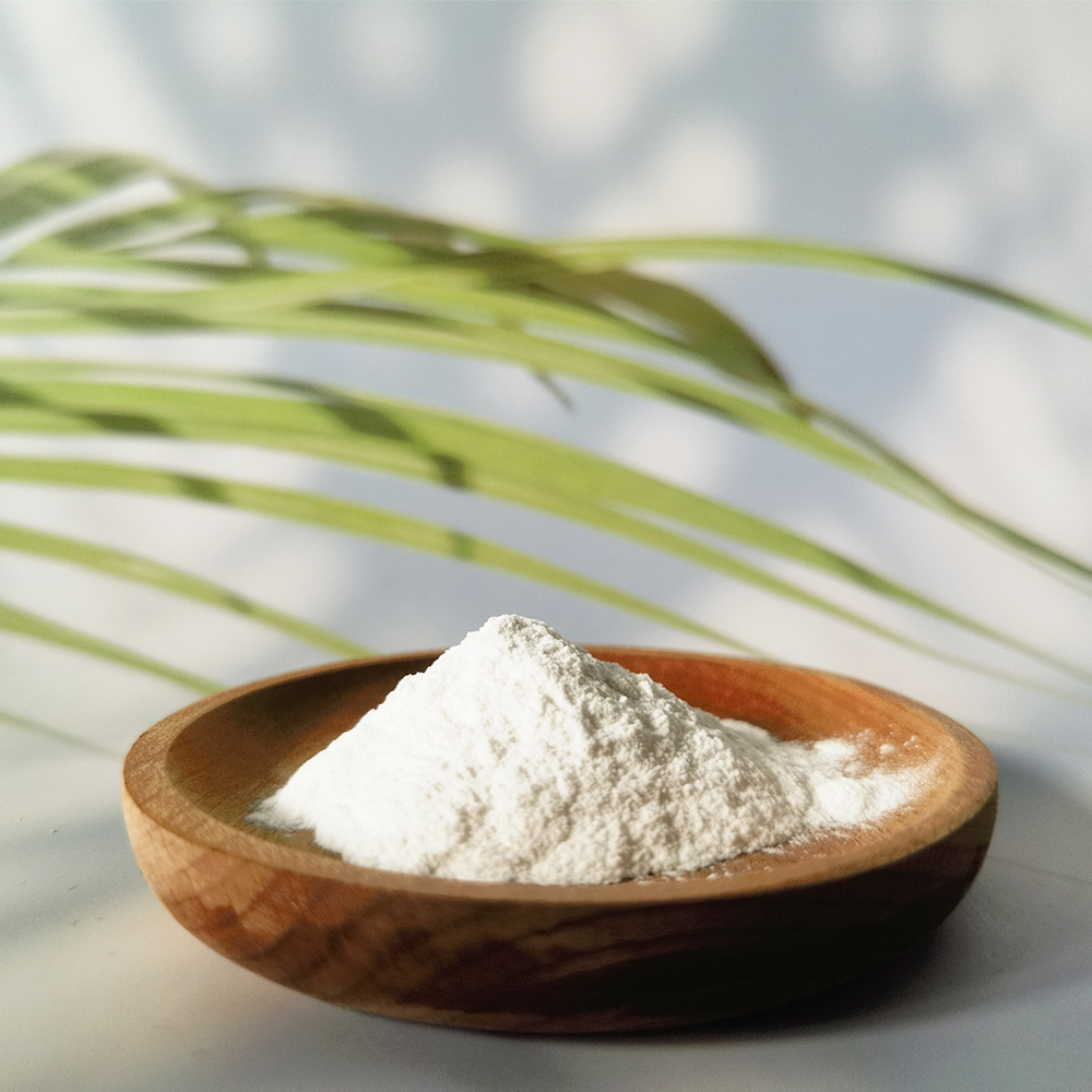 Nicotinamide riboside chloride,NRC,NR price,NR-CL manufacturer,NR powder