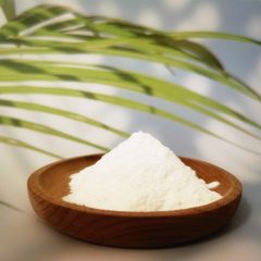 Bulk pure l carnitine powder