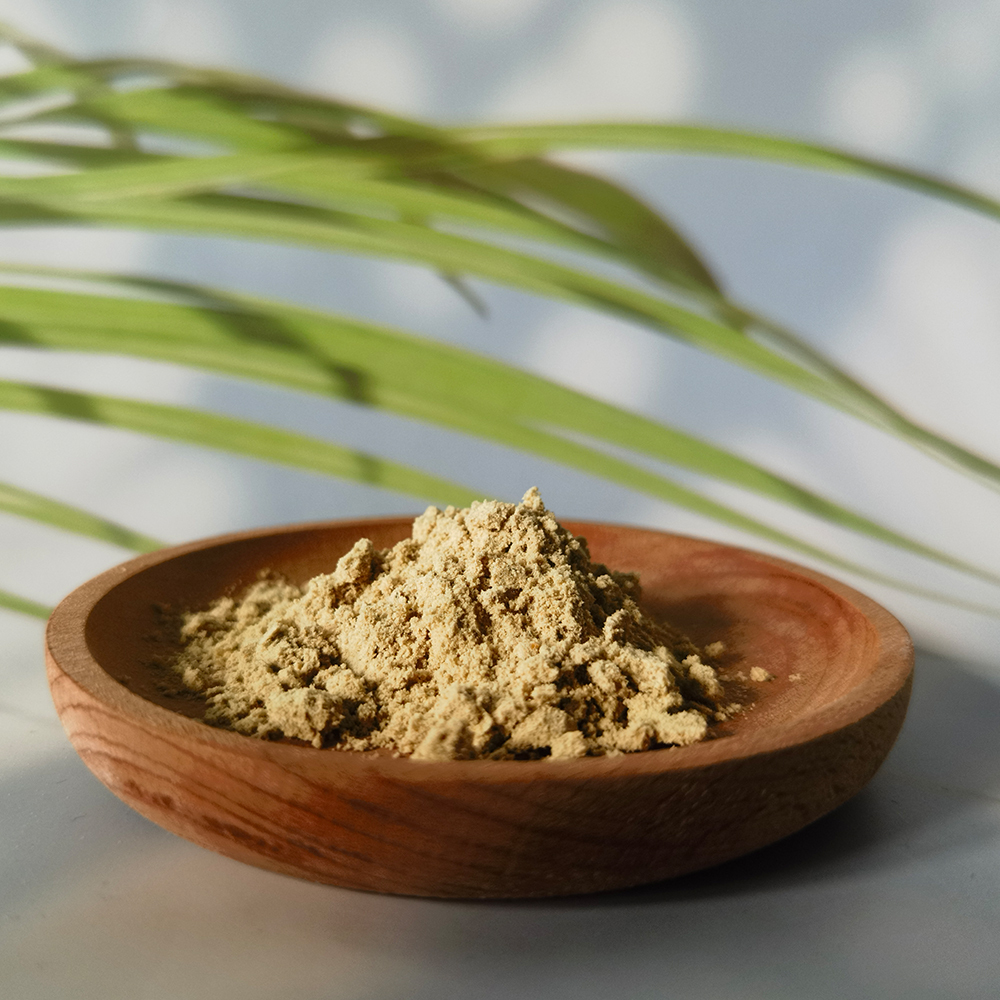 Echinacea Extract Echinacea purpurea powder