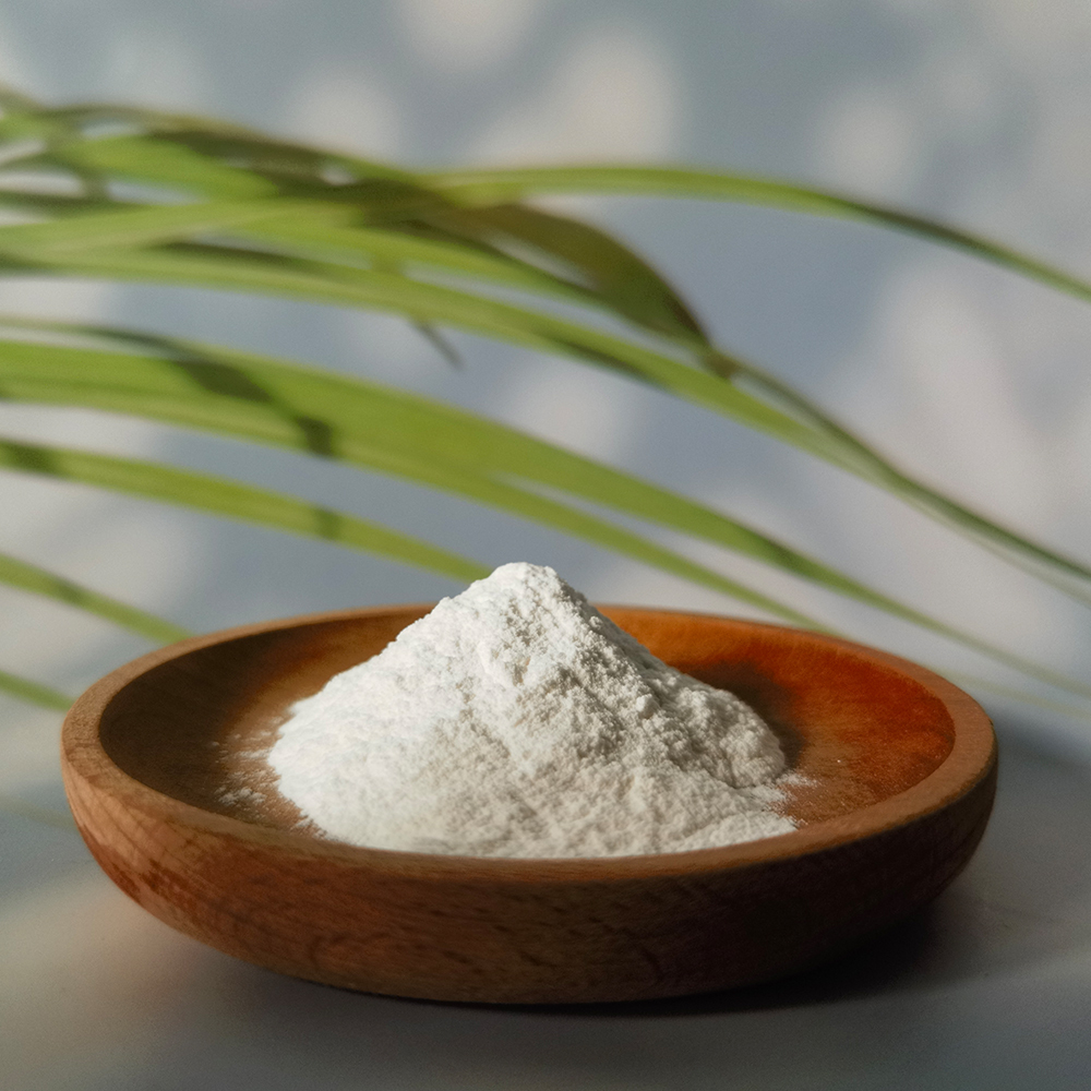 Saw Palmetto extract powder