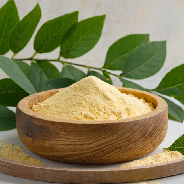 liposomal Resveratrol