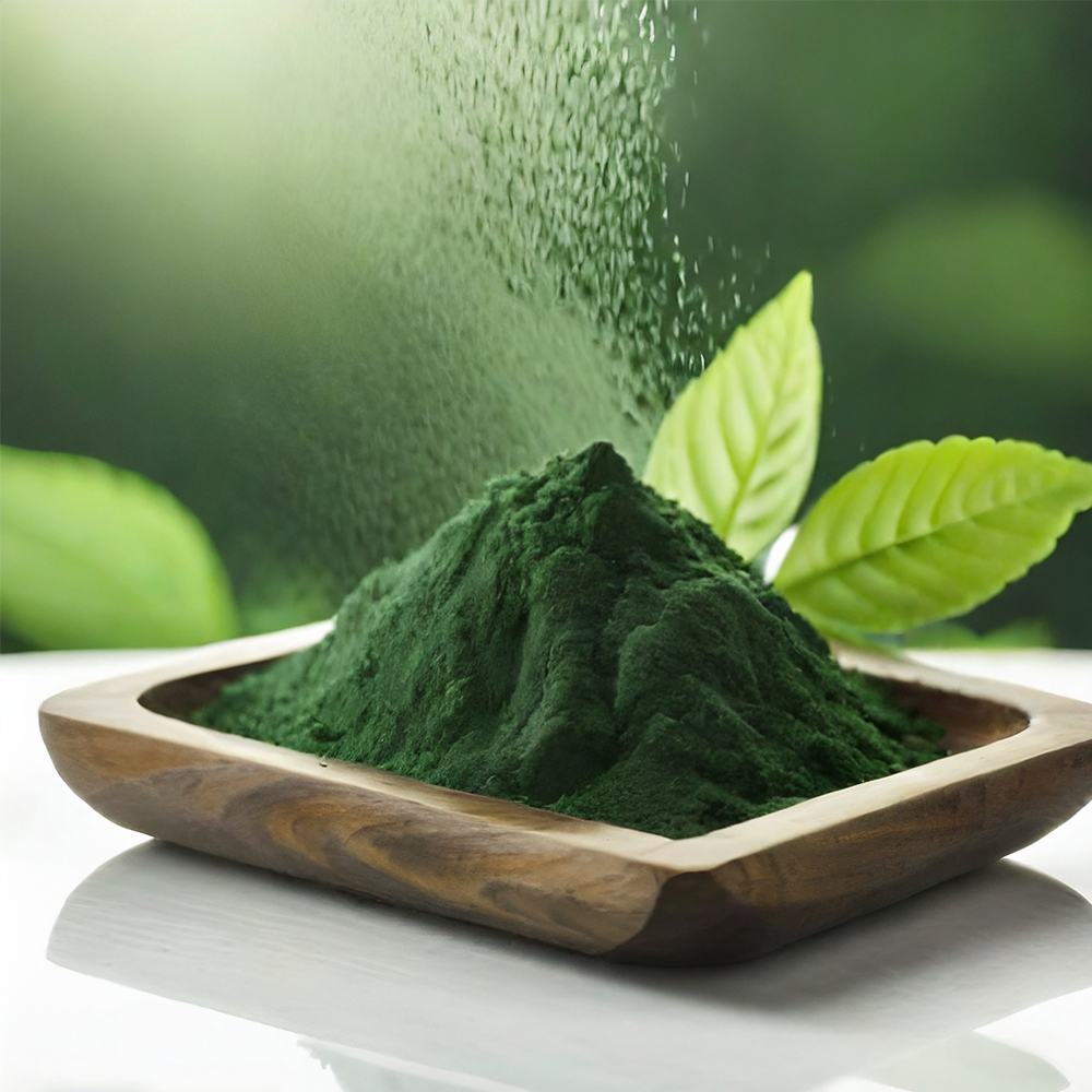 Best pure organic cracked cell chlorella powder,micronized chlorella