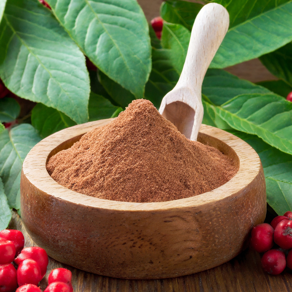 schisandra chinensis extract powder,Schisandra Berries P.E. Extract