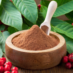 schisandra chinensis extract powder,Schisandra Berries P.E. Extract
