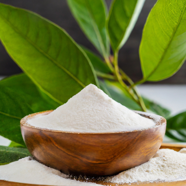 chitosan powder
