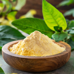 Pyridoxal5-phosphatemonohydrate powder,Pyridoxal Phosphate manufacturer