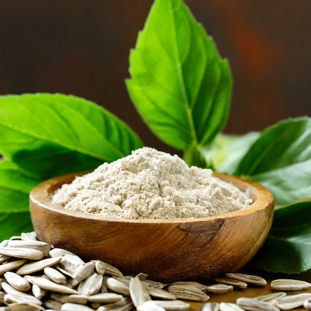 sunflower seed protein powder