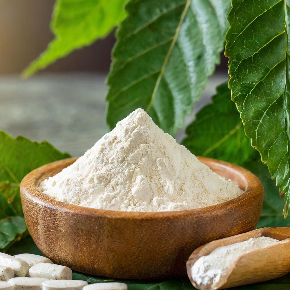 Lactobacillus rhamnosus powder
