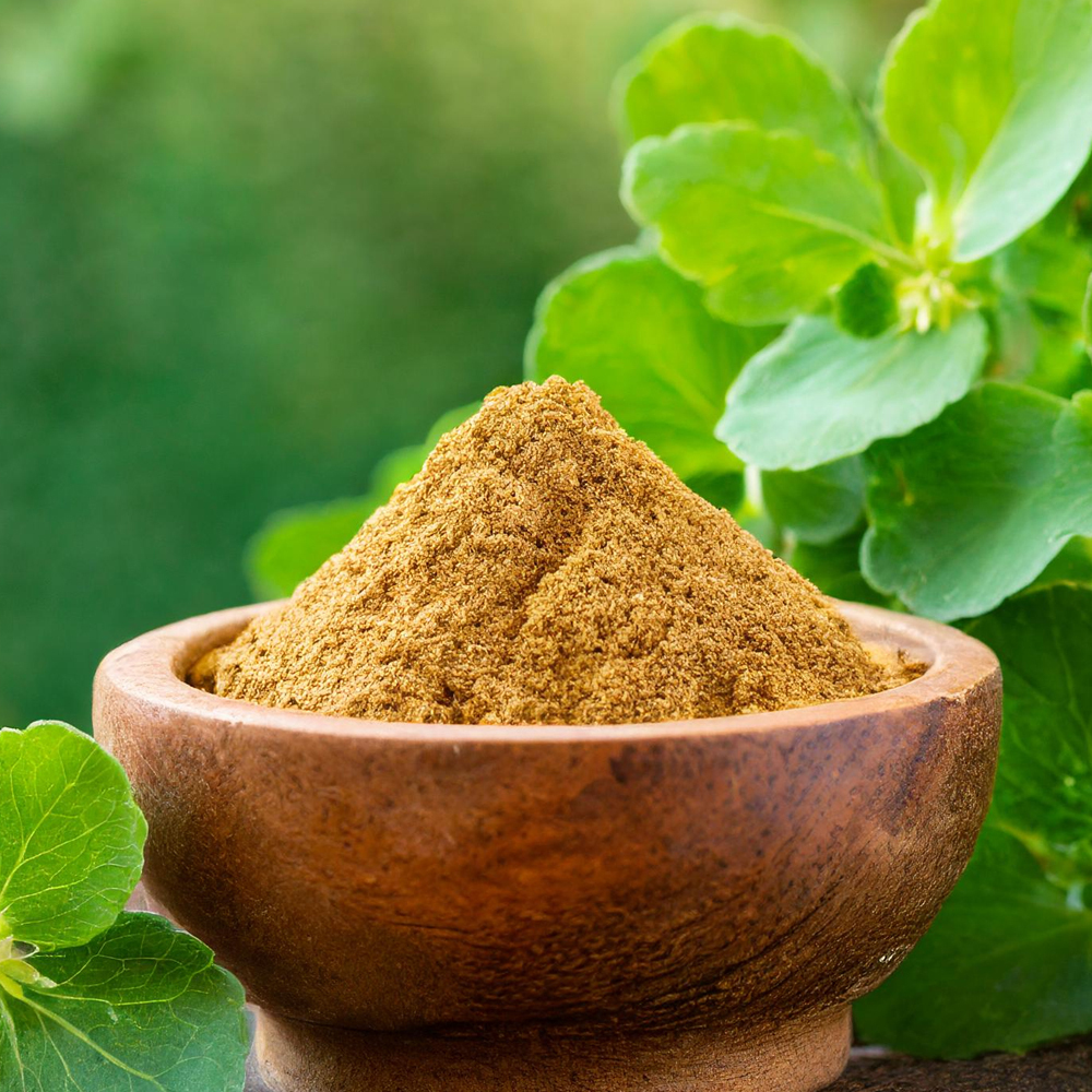 Bacopa monnieri extract