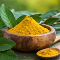Berberine powder