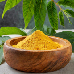 CoQ10H2 powder