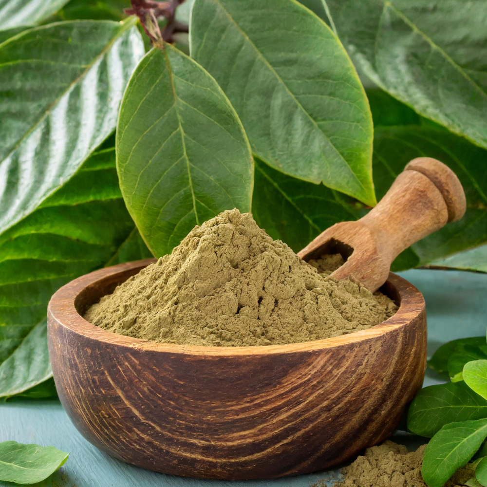 Ecdysterone powder