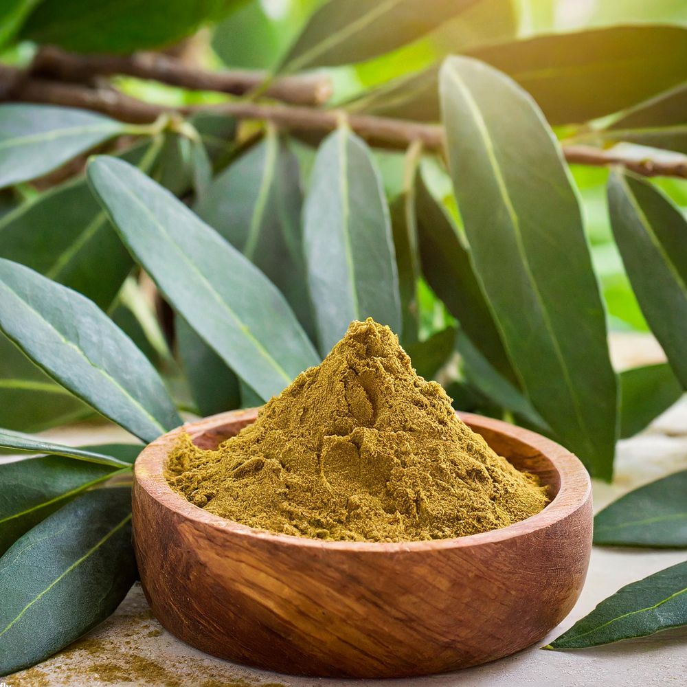 Hydroxytyrosol powder