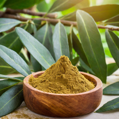 Hydroxytyrosol powder