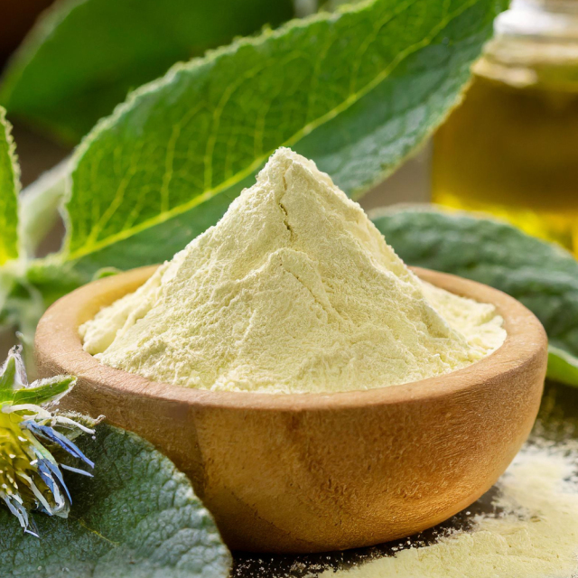 Borage oil powder