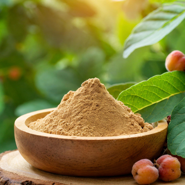 Soap Nut Extract powder