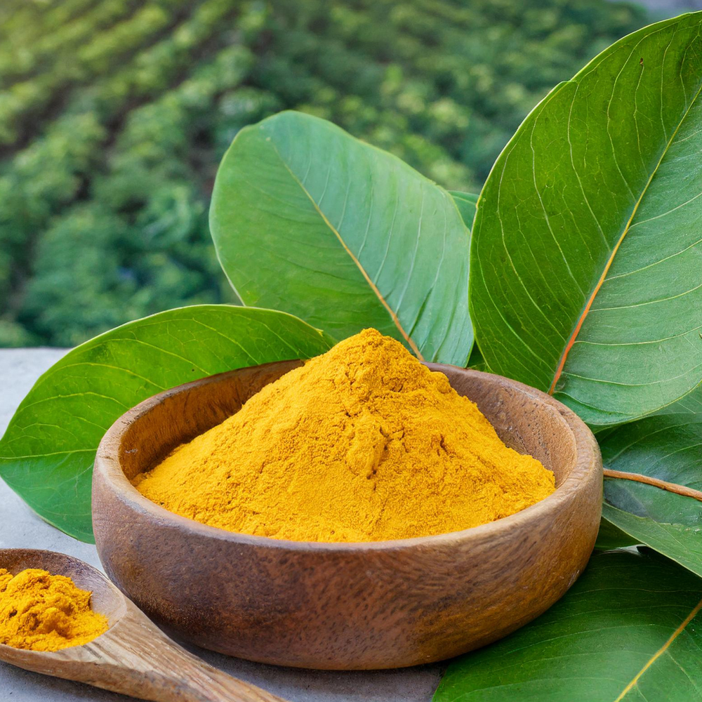 Baicalin powder