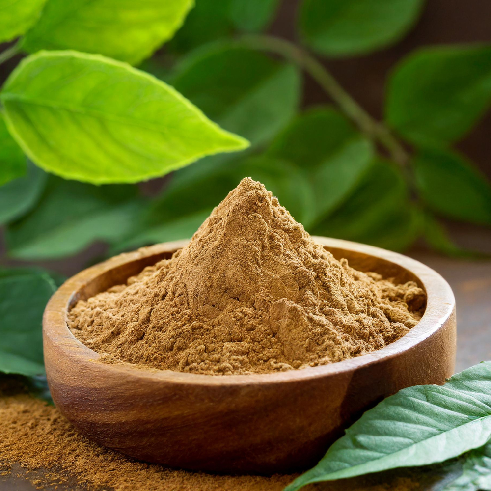 butchers broom extract powder