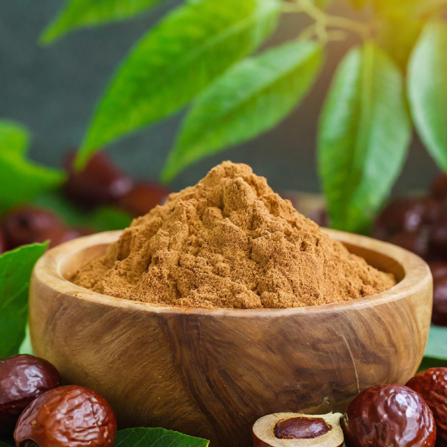 Ziziphi Seed Extract powder