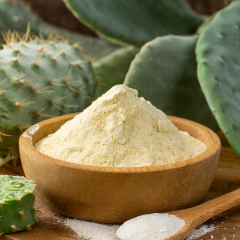 Superoxide dismutase（SOD） powder