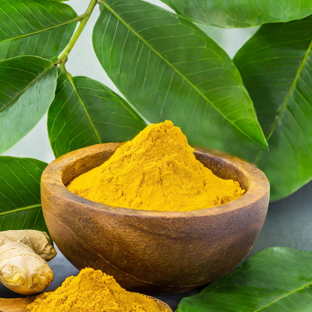 gingerol powder