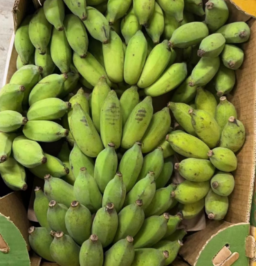 泰国香蕉 一箱约30lb-限时水果，下单前请联系销售确认