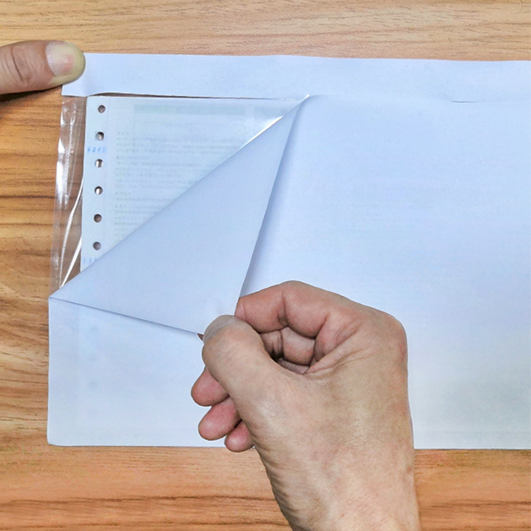 Standard Packing List Envelopes