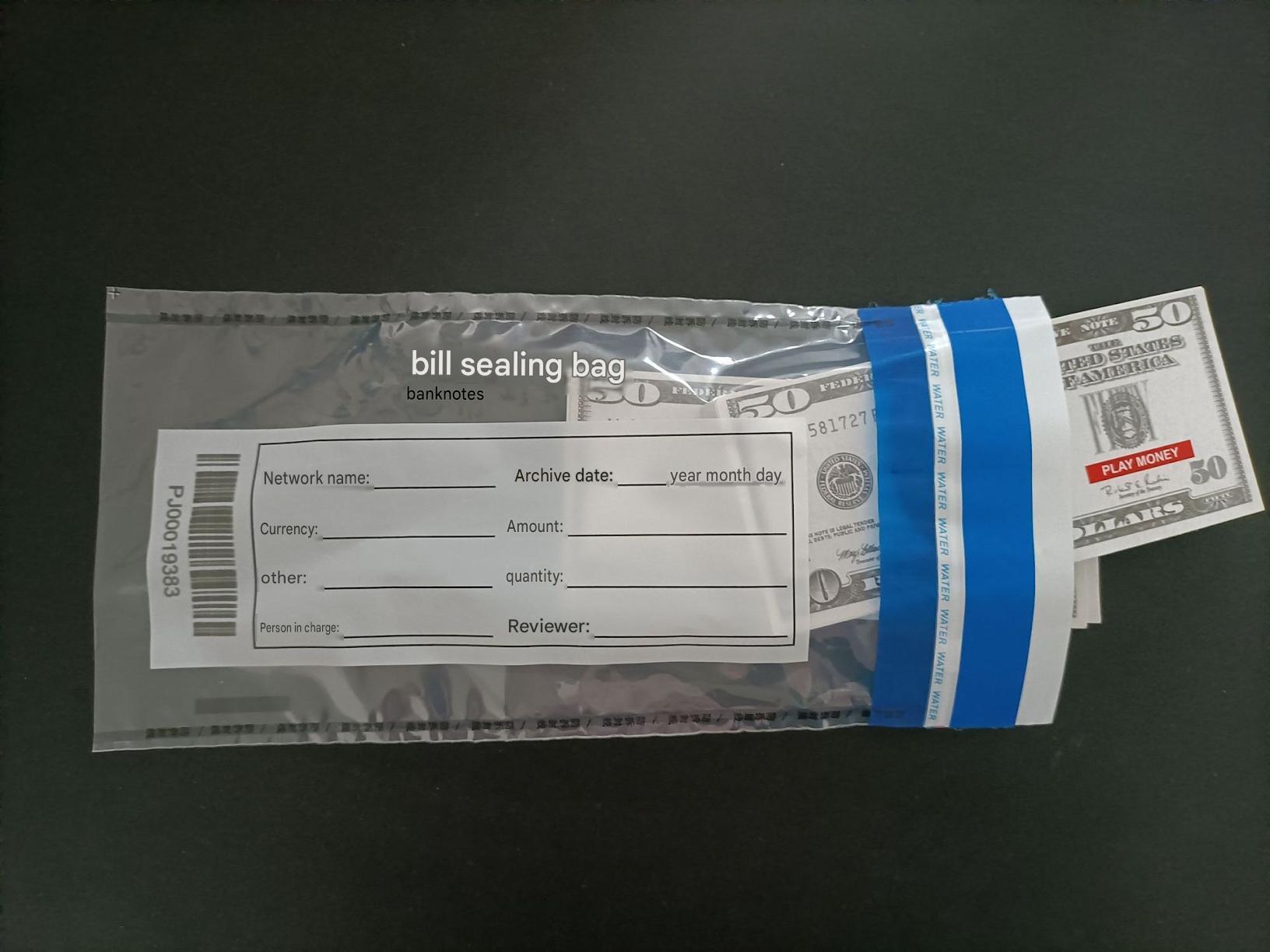 Cash Security Bags