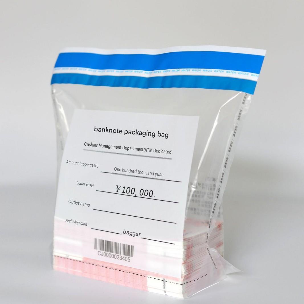 Cash Security Bags