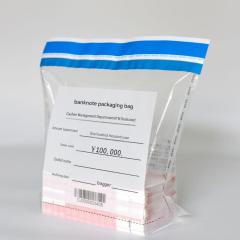 Cash Security Bags