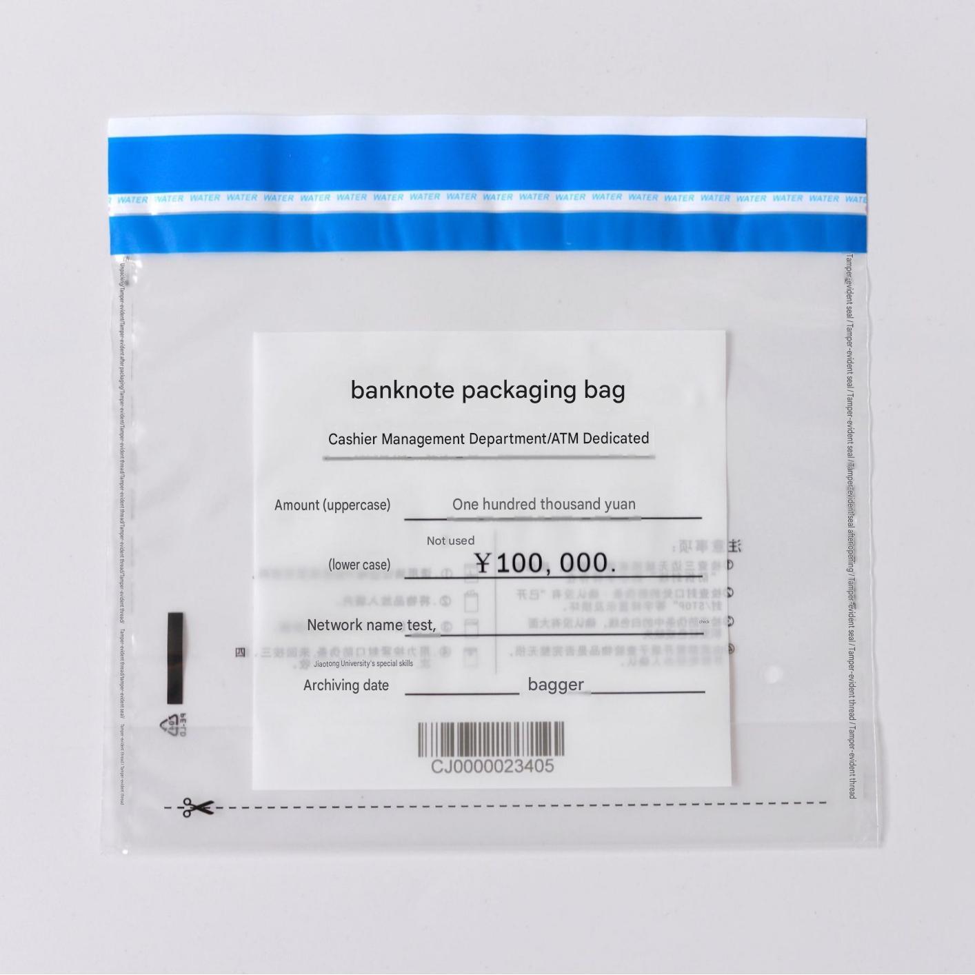 Cash Security Bags