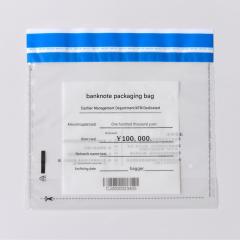 Cash Security Bags