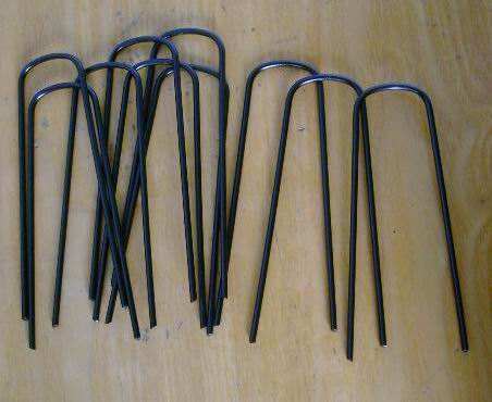solid staples