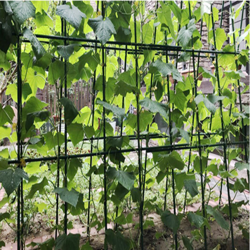 Green Metal Garden Stake