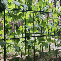 Green Metal Garden Stake