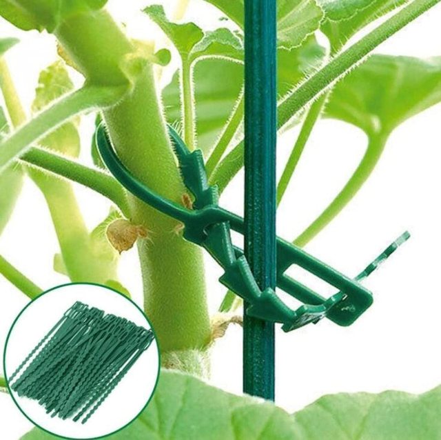 Adjust plant ties /garden ties