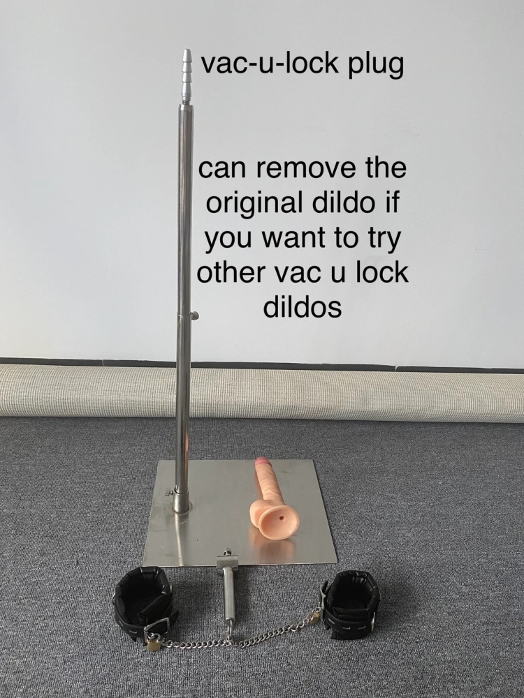 One Bar Prison with Vac U Lock Plug Dildo