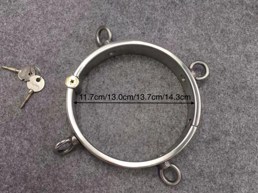 Stainless Steel Collar with 4 Attached Rings