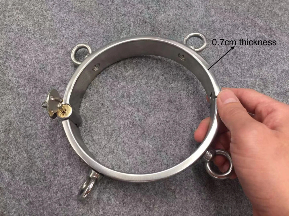 Stainless Steel Collar with 4 Attached Rings