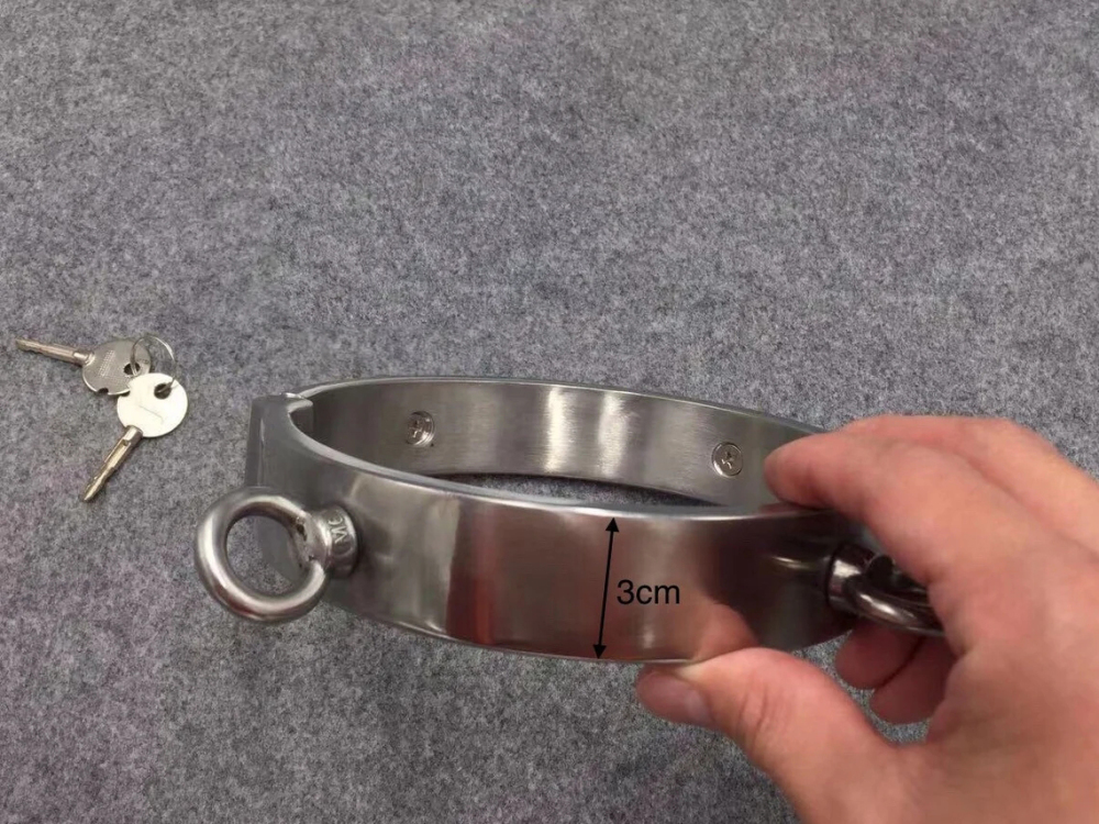 Stainless Steel Collar with 4 Attached Rings