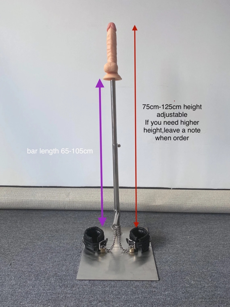 One Bar Prison with Vac U Lock Plug Dildo