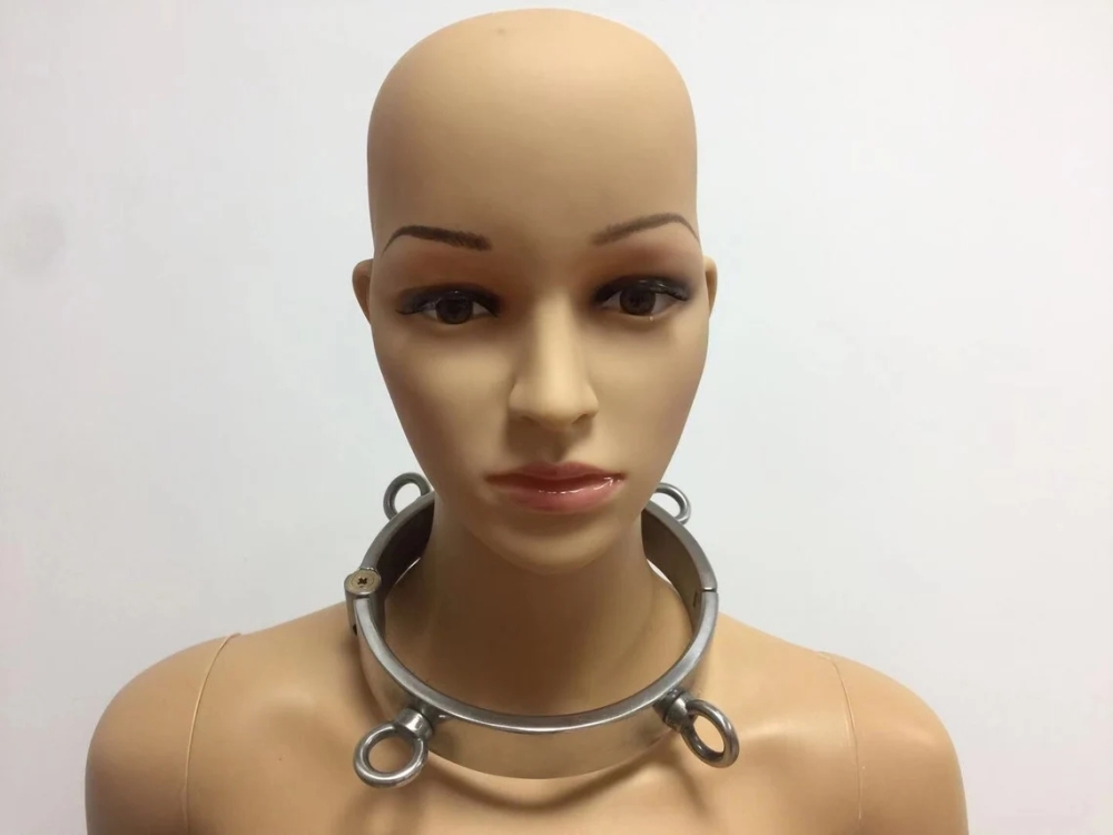 Stainless Steel Collar with 4 Attached Rings