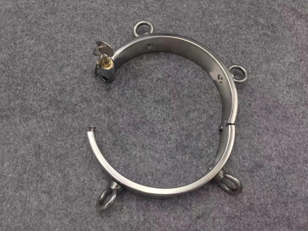 Stainless Steel Collar with 4 Attached Rings