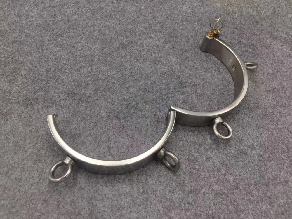 Stainless Steel Collar with 4 Attached Rings
