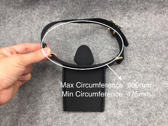 Silicone Mouth Gag with A Tray Set