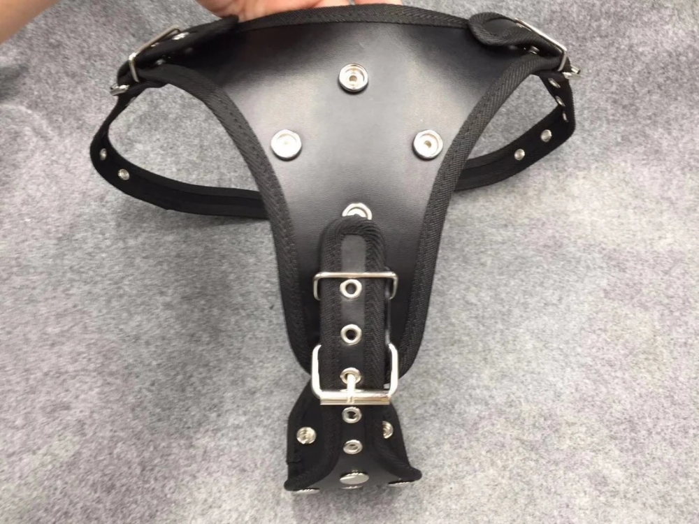 Removable 3 Dildo Design Strapon Panties