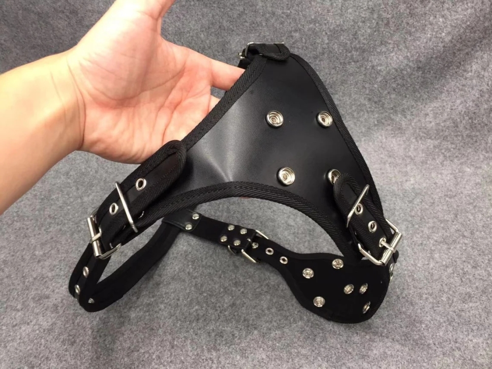 Removable 3 Dildo Design Strapon Panties