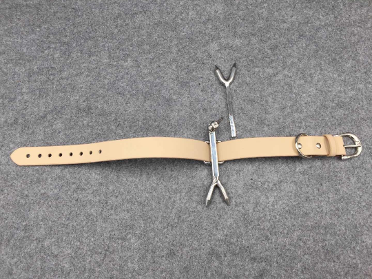 Stainless Steel Heretics Fork Forced Posture Collar